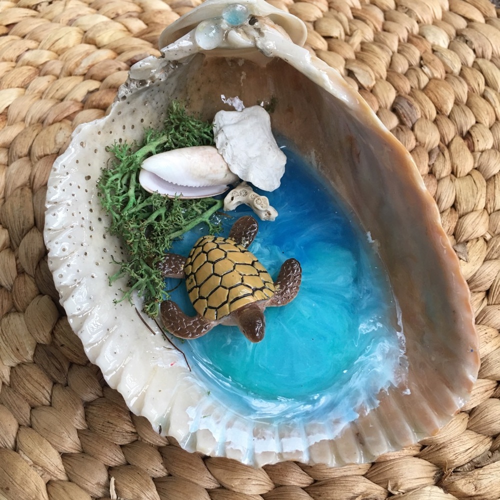 Turtle In the Sea Decorative Florida Shell